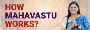 how mahavastu works